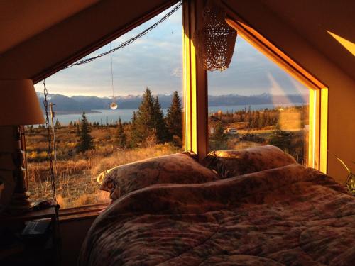 The Husky Ranch - image 2