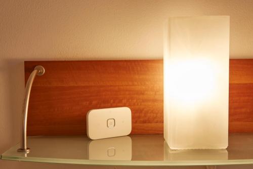 Vatican House - image 7