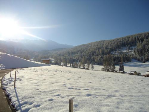 Schneekristall - image 7
