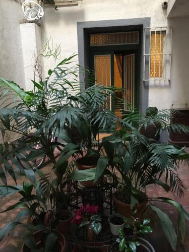 Rome Center Hot Spot - image 11