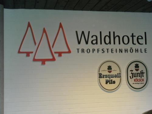Waldhotel Tropfsteinhohle - 편의 시설/서비스