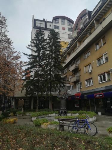 Apartment Angela