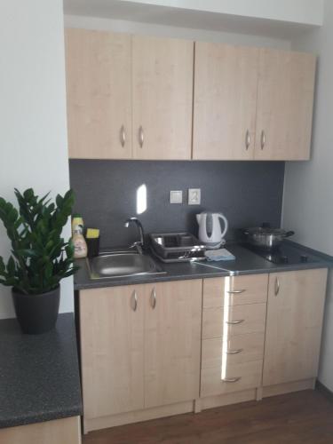 Apartmány Lípa 5