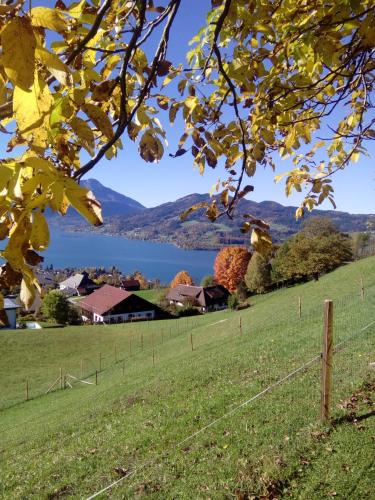 Biohof Schwanser
