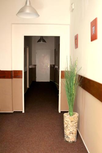 Penzion U Supa - image 12