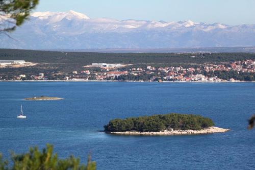  Apartment Sveti Filip i Jakov 14353b in Sveti Filip i Jakov