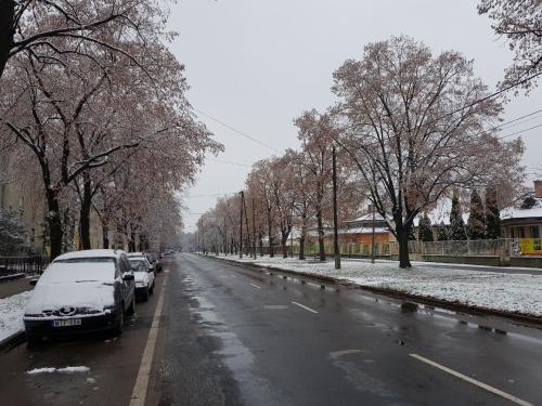 Lia Apartman