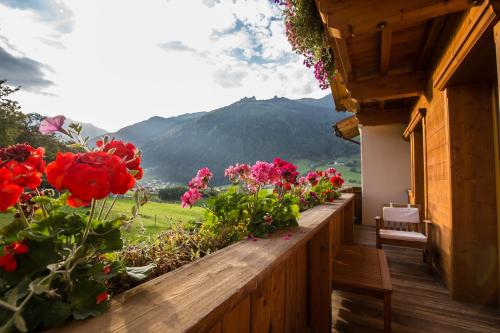 Surrounding environment, Untersillerhof in Neustift im Stubaital