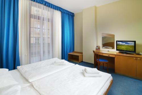 Hotel Ruze - image 5