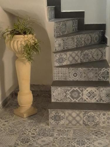 8vilhena - image 11