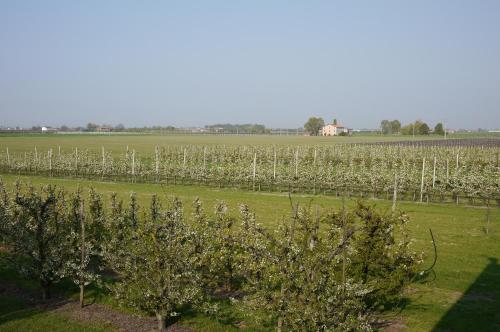 Agriturismo Mongiorgi "I Salici"