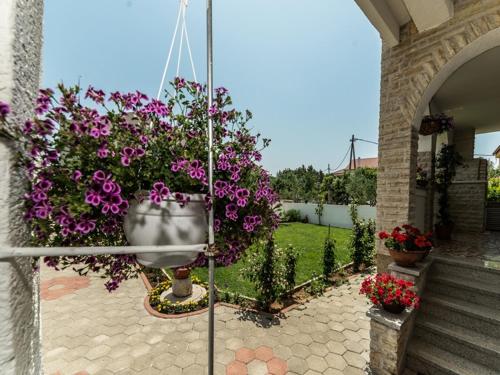 Apartments Dalmatia - main image