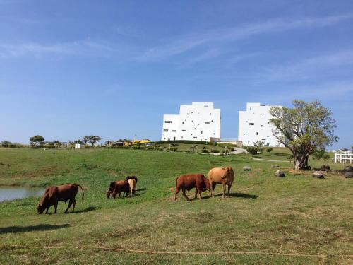 Kenting Ocean Paradise Resort