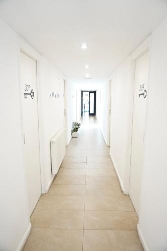 Lobby, Dodo Suites in Playa Grande