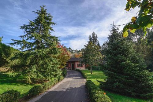  La Casina de Punticiella, Pension in El Pito