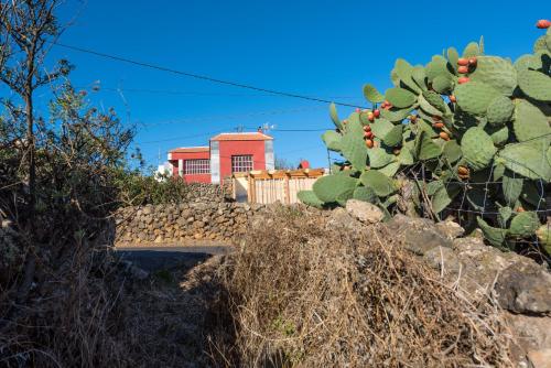 Casa Elvira - image 13