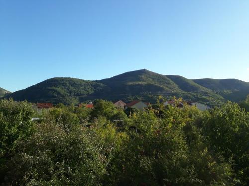 Little Mostar house