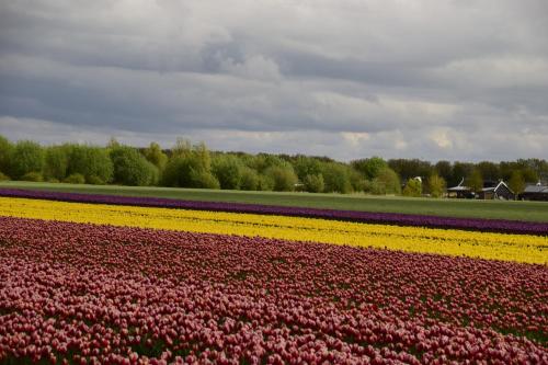 Vakantiehuis Het Uilennest