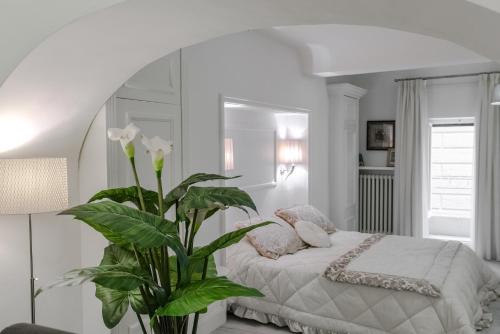 Rinaldi Loft, Florencie (fotografie 3)