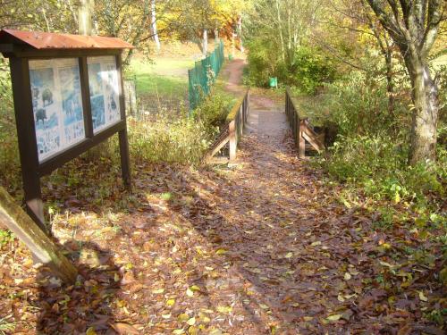 Hotel Am Wildpark - image 8