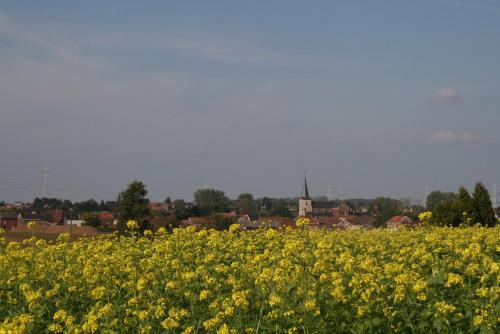 twee broeders - image 12