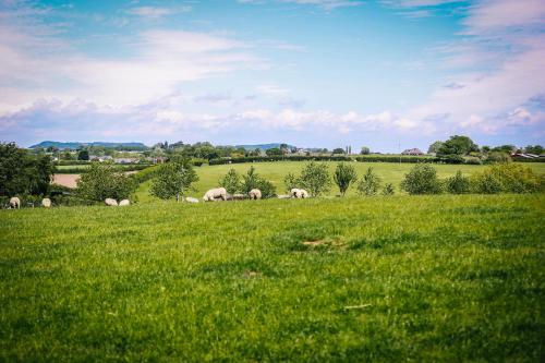 Millmoor Farm Holidays - main image