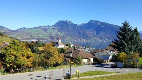 Attika Wohnung Spiez - image 11