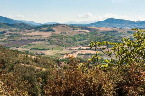 Oasi di Mastarone - Il vino e le Rose