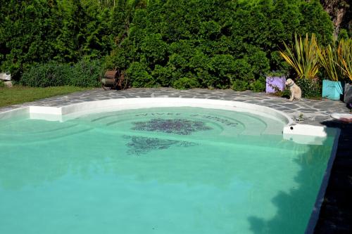 設施, LA NATURE Hosteria boutique B&B in 坦迪爾