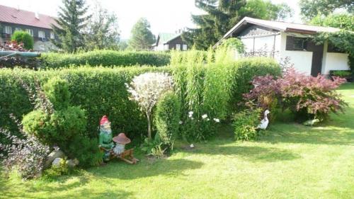 Apartmány Puskarčíková - image 12