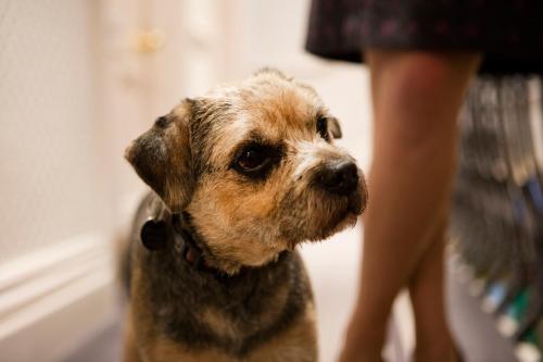 The Roseate Villa Bath - image 13