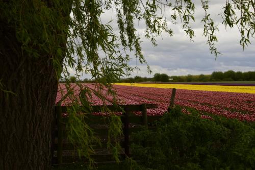 Vakantiehuis Het Uilennest