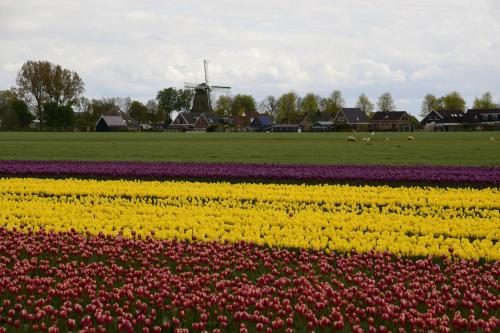 Vakantiehuis Het Uilennest