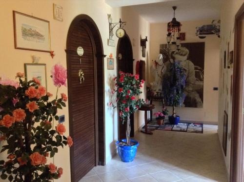 B&B Green - image 9