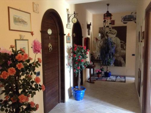 B&B Green - image 2