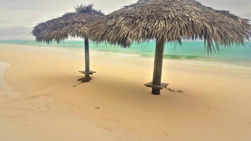 Paradise Beach Andros