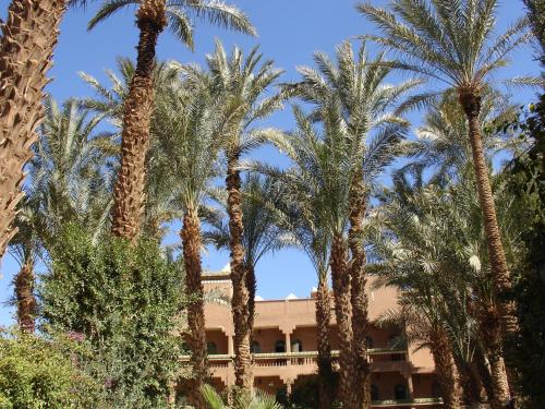 周邊環境, 卡斯巴西羅科住宿加早餐旅館 (Kasbah Sirocco) in 紮果臘市