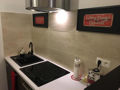 Apartament Ludwik