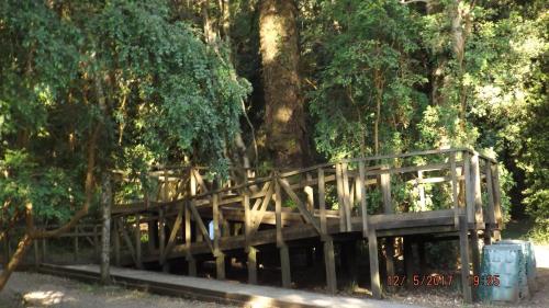 ที่เที่ยวใกล้ที่พัก, Bosque Valdiviano Apartment in วอลดิเวีย