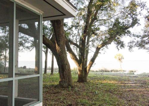 Coastal Cravings on St. Helena Island - image 3