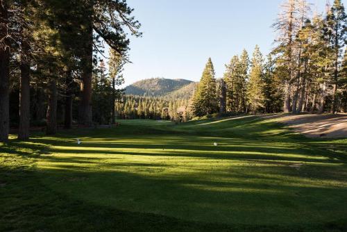 Cabins 21 - image 7