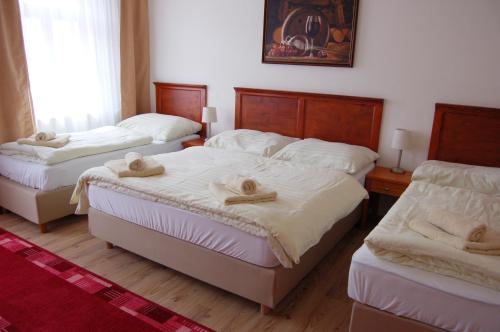 Hotel Aurelius Mikulov