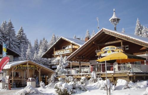 Arber Alm - Apartment - Bayerisch Eisenstein