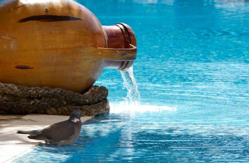 Photo 0 Hotel Punta Nord Est