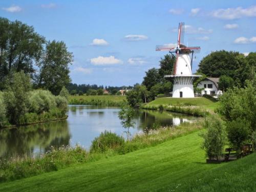 Fruitbedrijf Stek in Kedichem