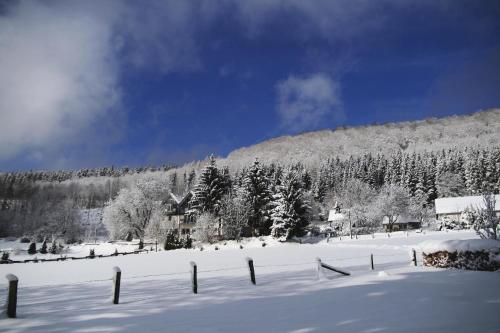 Waldhotel Schinkenwirt - image 12