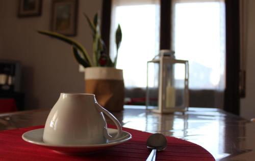 B. & B. NABUCCO, Parma (fotografie 9)