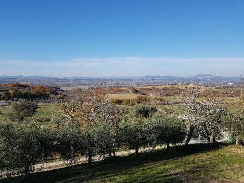 La Collina - image 5