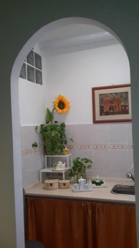 Le Tre Sorelle B&b Garbatella