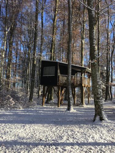 Les Cabanes du Mont